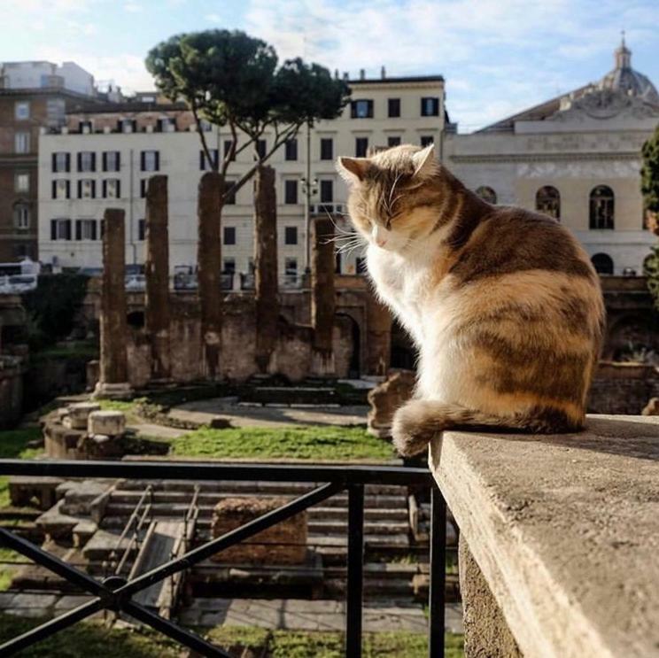 Ancient Roman Mansion Dış mekan fotoğraf